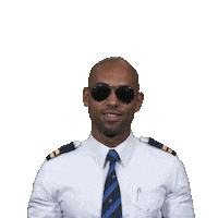 Sarcastic Royal Dutch Airlines Sticker by KLM