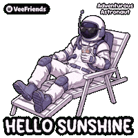 Summer Hello Sticker by VeeFriends