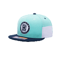 Liga Mx Football Sticker by FAN INK