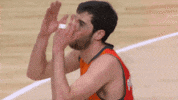 liga endesa no GIF by ACB