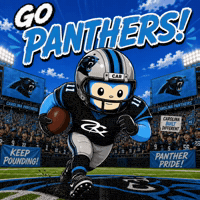 Carolina Panthers Football GIF by Respective