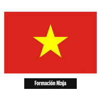 Flag Bandera Sticker by Formación Ninja
