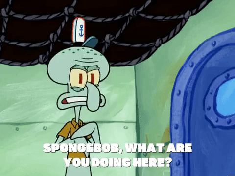 season 5 new digs GIF by SpongeBob SquarePants