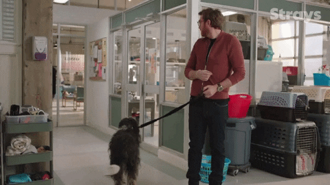 Season 2 Cbc GIF by Strays