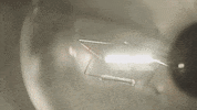 Art Video GIF by jorgemariozuleta