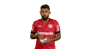 Excited Bayer Leverkusen Sticker by Bundesliga