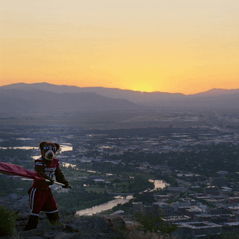 Happy University GIF by Montana Grizzlies
