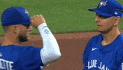 Blue Jays Baseball GIF by Toronto Blue Jays