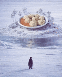 Penguin Momo GIF
