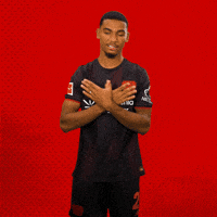 Happy Bayer 04 GIF by Bayer 04 Leverkusen