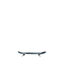 skate skateboarding Sticker by Titus