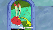 season 9 episode 25 GIF by SpongeBob SquarePants