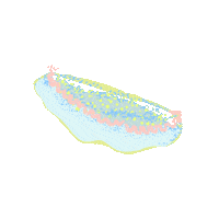 peachbabystudio sea creature peachbaby nudibranch sea slug Sticker