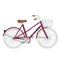 Bike Netherlands Sticker by Megan McNulty