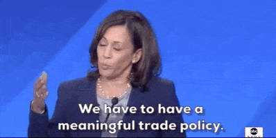 Democratic Debate We Have To Have A Meaningful Trade Policy GIF by GIPHY News