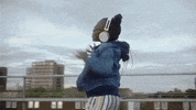 House Music Love GIF by Island Records UK