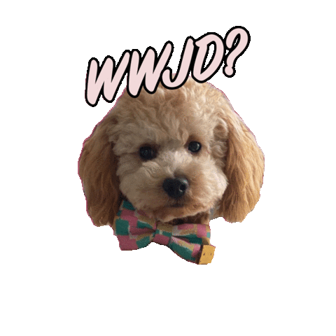 Feelgoodclub dog coffee good club Sticker