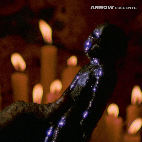 Italian Film GIF by Arrow Video