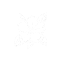 Tamoaqui Sticker by Masiel Mateo