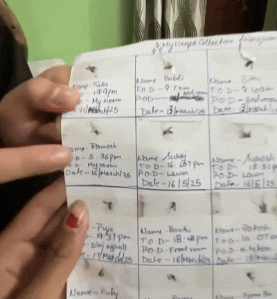 58d4b6a0e8004dd6a499524384e88c9f giphyupload GIF