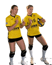 Bundesliga Ball Sticker by USC Münster e.V.