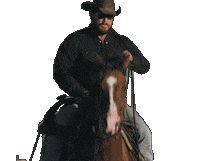 Cole Hauser Sticker by Dutton Ranch
