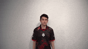 League Of Legends Lol GIF by G2 Esports