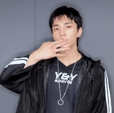 Stray Kids Love GIF
