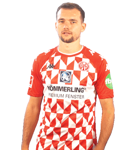 Bundesliga Mainz05 Sticker by 1. FSV Mainz 05