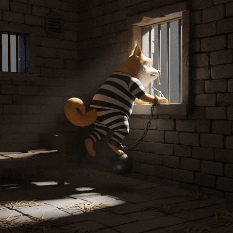 Sad Shiba Inu GIF by Doge Pound