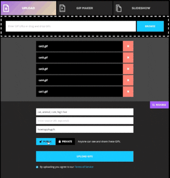 Upload GIF by How To Giphy