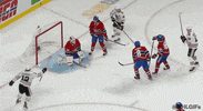 Ice Hockey Sport GIF by NHL