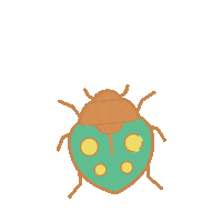Bed Bug Sticker by entomologando