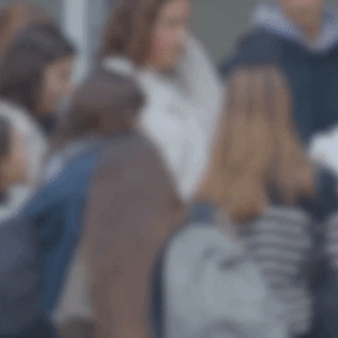 tbtc giphyupload GIF