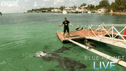 bbc one blue planet 2 GIF by BBC