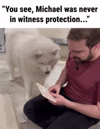 Explaining Gta V GIF