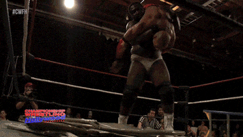 Beat Up Knock Out GIF by United Wrestling Network