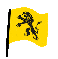 Flag Boras Sticker by Guliganerna
