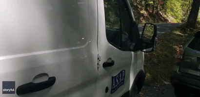 'I'm Gonna Get You Out': Man Finds Bear Cubs Trapped in His Van