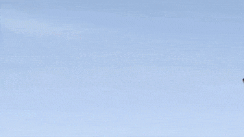 Sweet Spirit Trinidad GIF by Merge Records