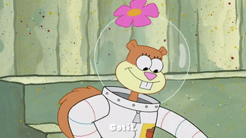 season 9 patrick the game GIF by SpongeBob SquarePants