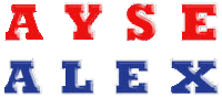 Ayse Sticker by Aysem Sultan