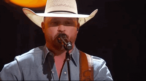 Acm Awards GIF by Academy of Country Music Awards