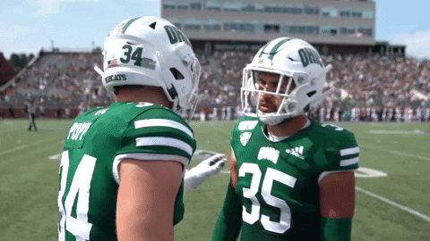 OhioBobcats giphyupload football cats ncaa GIF