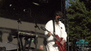 super furry animals GIF by Pitchfork
