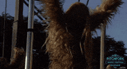 pitchfork music festival GIF by Pitchfork