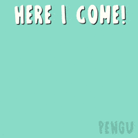 Come On My Way GIF by Pudgy Penguins