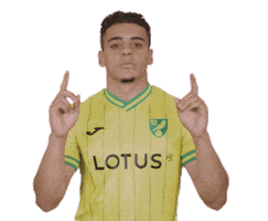 Premier League Soccer Sticker by Norwich City Football Club