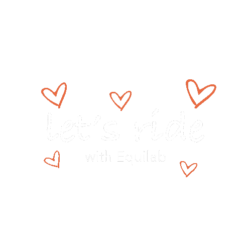 Equilab giphyupload horse horses pony Sticker