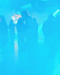 Dance Disco GIF
